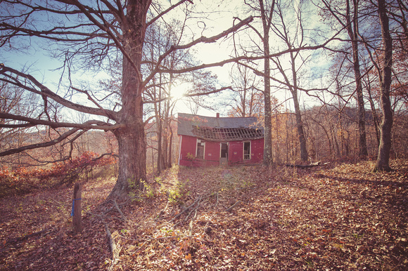 The Little Shack In The Woods